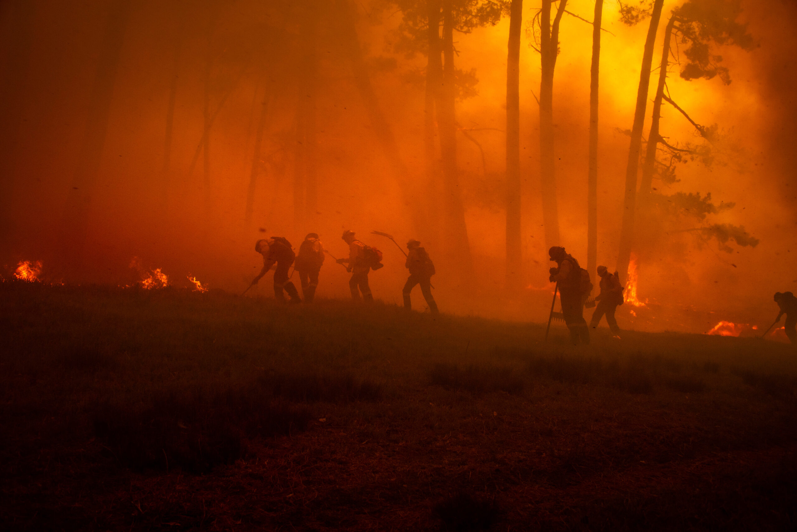 firefighters suppressing wildfire